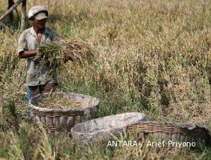 Kejar target produksi gabah, Kementan majukan musim tanam gadu