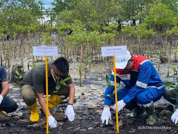 Cegah Abrasi, Kilang Pertamina Kembangkan Teknologi Revitalisasi Mangrove 