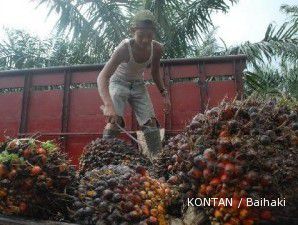 Reli CPO berlanjut, saham AALI melaju kencang di transaksi pagi