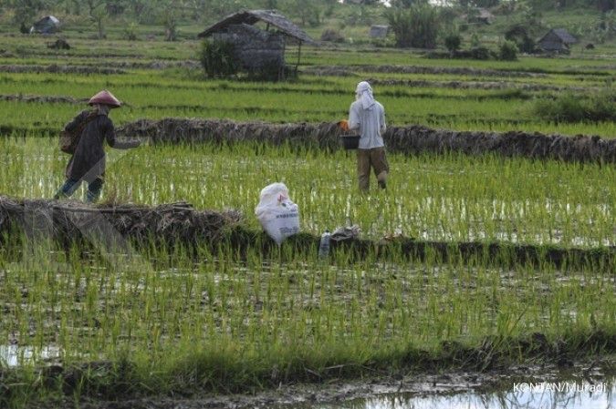 Jawa Barat mulai masuk masa tanam padi