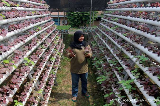 Menimbun Cuan dari Pehobi Berkebun