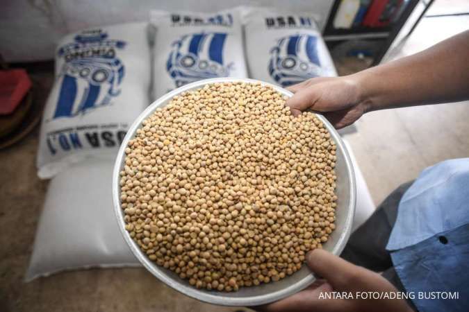 Harga Kedelai Dunia Turun, Tahu Tempe di RI Tetap Mahal, Ada Apa?