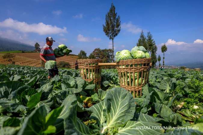 Nilai Tukar Petani Naik Menjadi 122,64 pada Juli 2025