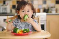 Strategi Atasi Picky Eater: Anak Sehat, Gizi Optimal!