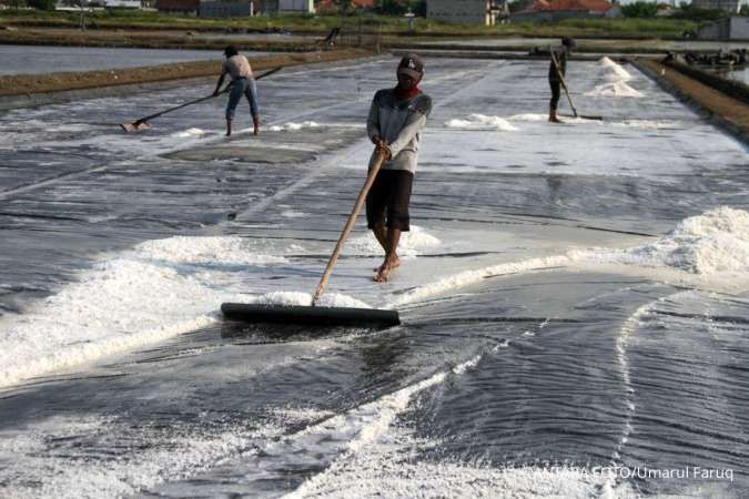 Impor Garam Industri Naik, Anggota DPR Minta Pemerintah Batasi Kuota Tambahan
