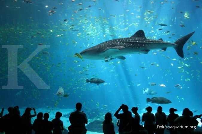Akuarium terbesar di dunia - Georgia Aquarium