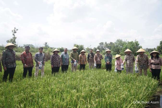 Inovasi PTBA Dukung Swasembada Pangan, Ubah “Si Hitam” Jadi “Hijau”