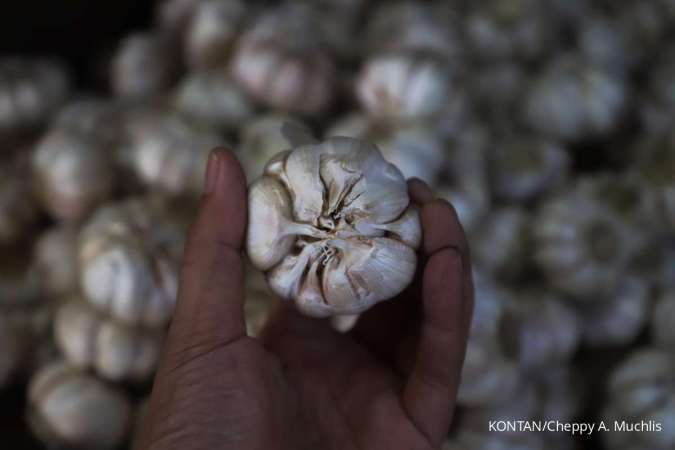 BPS: RI Impor 82.600 Ton Bawang Putih dalam 4 Bulan Pertama 2025