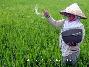 Produksi Beras Terancam Perubahan Iklim