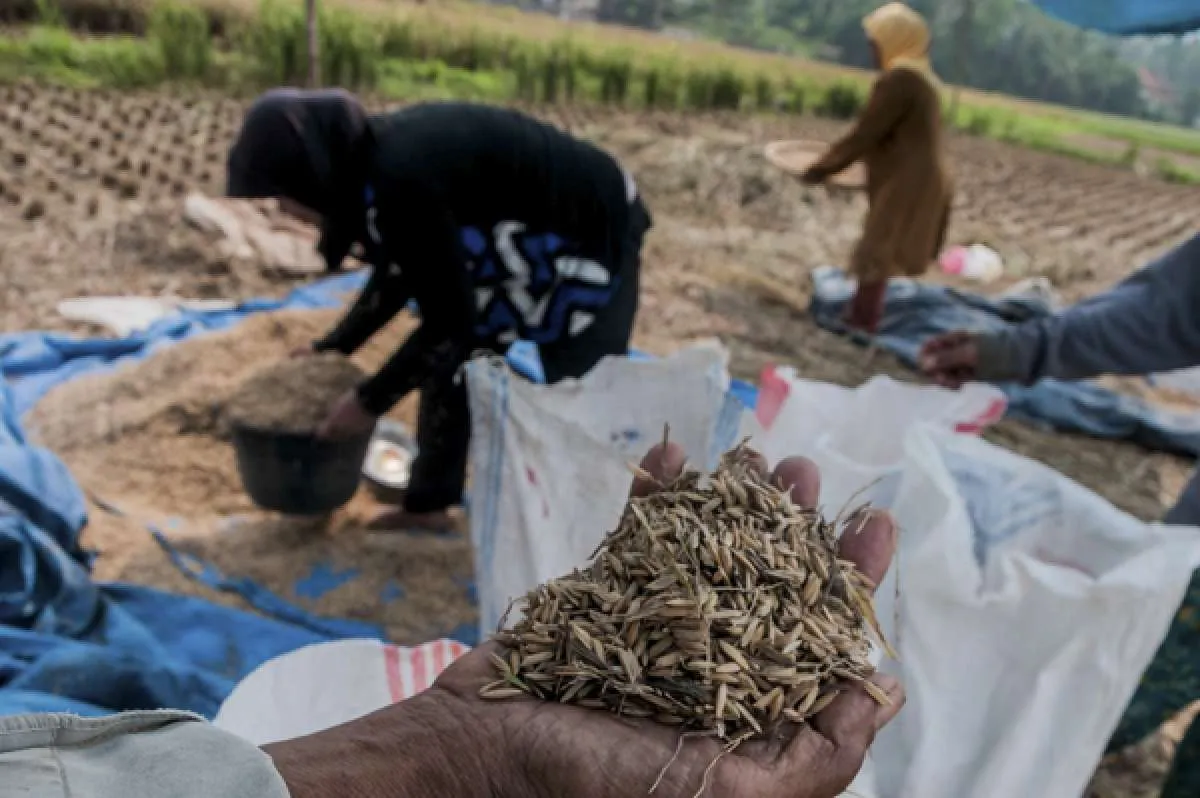 Peningkatan daya saing daerah, kunci pemulihan Indonesia dari pandemi Covid-19