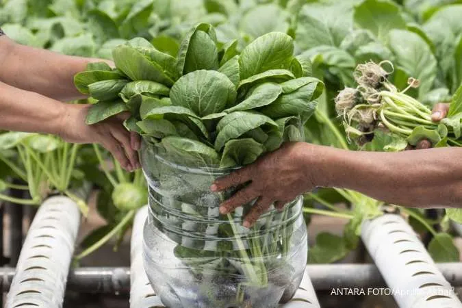 Jangan Salah Beli! Ini 6 Sayuran Beku Terbaik dan yang Paling Segar Menurut Ahli Gizi