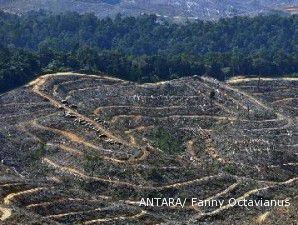 Hatta: Moratorium jalan terus meski tanpa bantuan asing