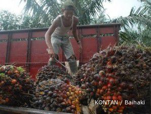 Stok Malaysia berlimpah, harga CPO tumbang 1,4% sore ini