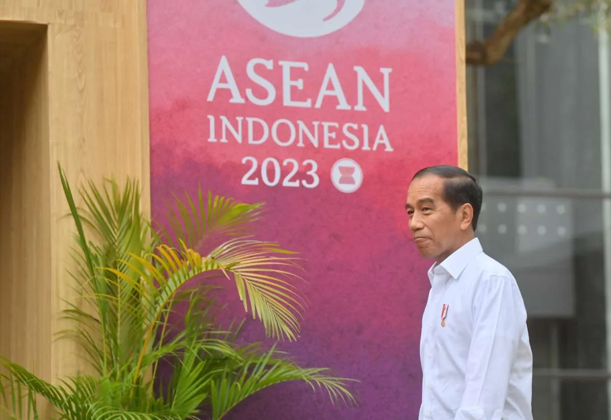 Indonesia Punya 3,3 Juta Hektare Hutan Mangrove, Jokowi: Jangan Sampai Rusak