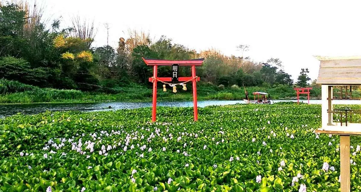 Ada di Yogyakarta, tempat wisata Kalinampu Natural Park mirip negeri sakura