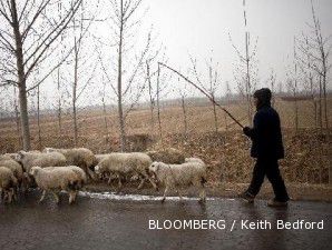 Cuaca buruk mengancam produksi gandum di China dan AS