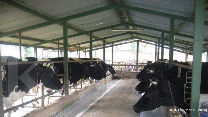 Harga rendah, produksi susu segar tumbuh tipis