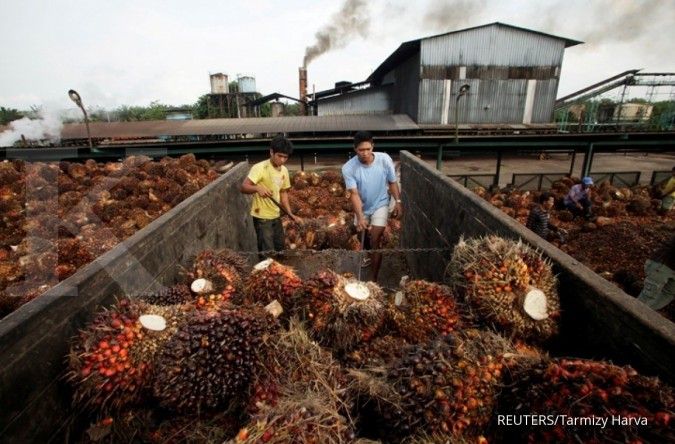 Indonesia Aims to Launch Palm Oil Benchmark Price by June - Trade Minister