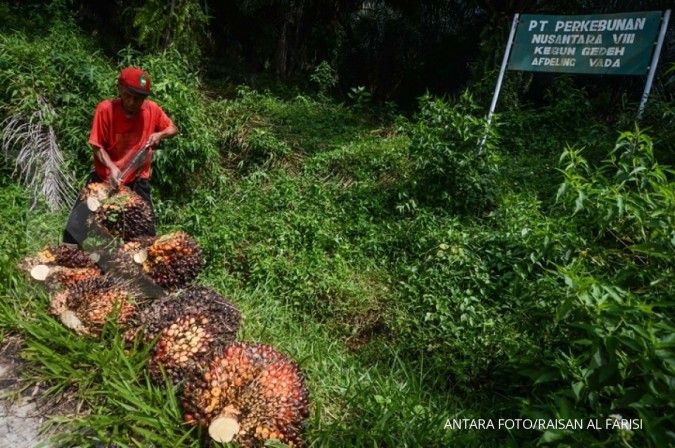 Neraca dagang pertanian Indonesia-China surplus US$ 2,26 miliar berkat sawit