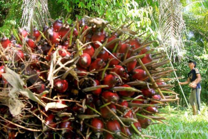 Kementerian ESDM: Kebutuhan kelapa sawit sebagai bahan baku green diesel terus naik