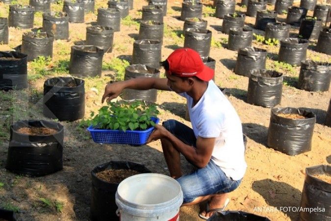 Belakangan, beredar pupuk palsu yang meresahkan