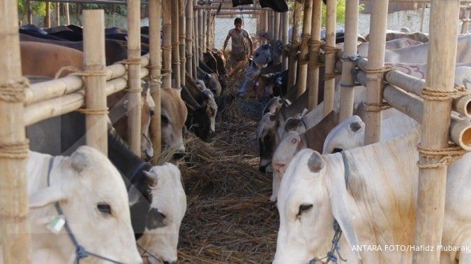 BMT Sidogiri rilis Asuransi Tabungan Kurban