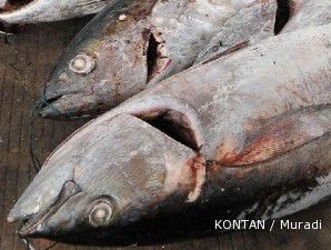 Rayakan imlek, eksportir ikan meliburkan diri