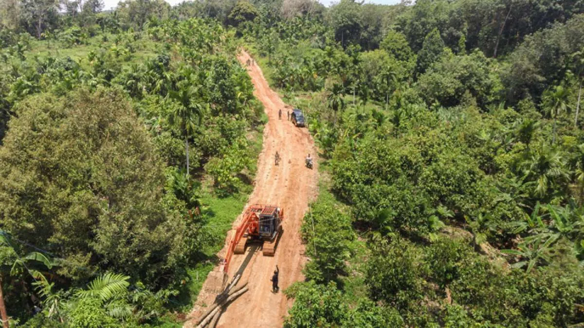 Indonesia akhiri kerja sama REDD+ dengan Norwegia