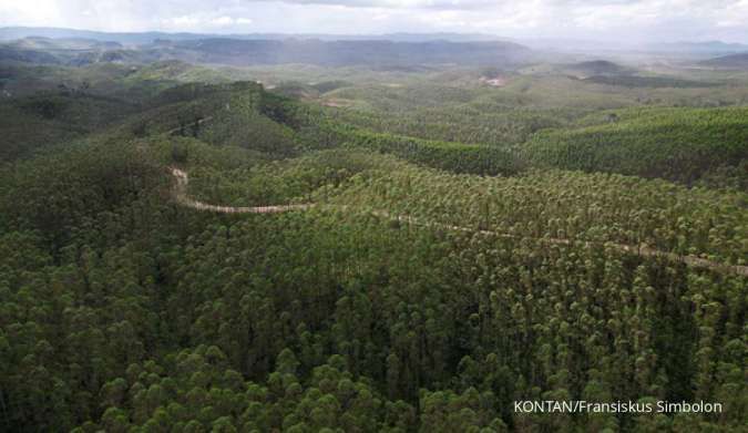 Hutan Tanaman Indonesia Terhambat Ikuti Sertifikat FSC, Ini Penyebabnya