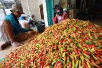 Harga Cabai Merah Naik Jelang Ramadan 2026, Mendag: Faktor Cuaca