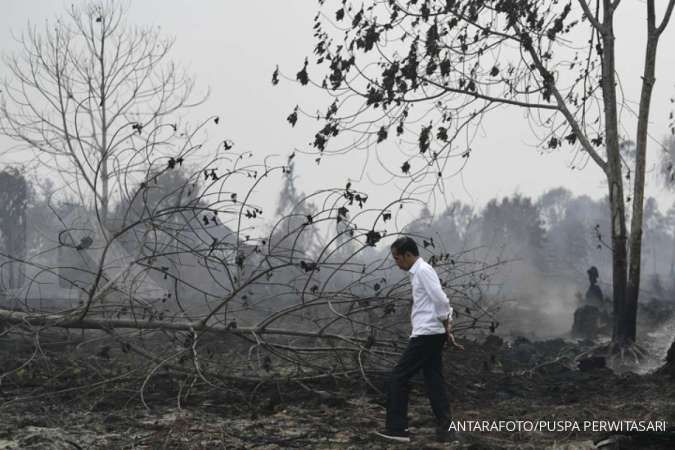 Ketika Jokowi pakai mobil rental kunjungi lokasi kebakaran lahan di Riau