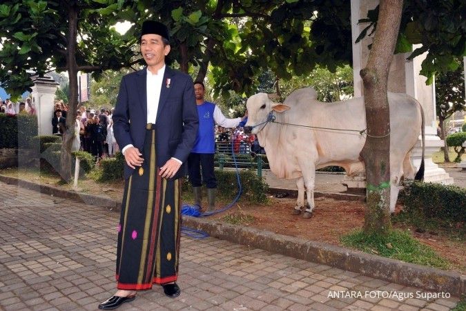 Sapi-Sapi Kurban Jokowi Berbobot 800 Kg Hingga 1 Ton