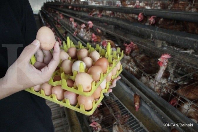 Harga telur di tiga pasar tradisional masih tinggi