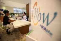 Kinerja Moncer, Asuransi Jiwa Lirik Peluang Tambah Investasi Saham