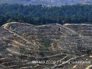 Pemerintah pasti berikan hukuman bagi pengemplang inpres moratorium hutan