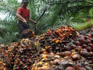 CPO anjlok ke level terendah dalam tujuh pekan