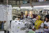 PHK Massal Mengancam, Apindo Catat 126.000 Pekerja Terdampak hingga Mei 2026