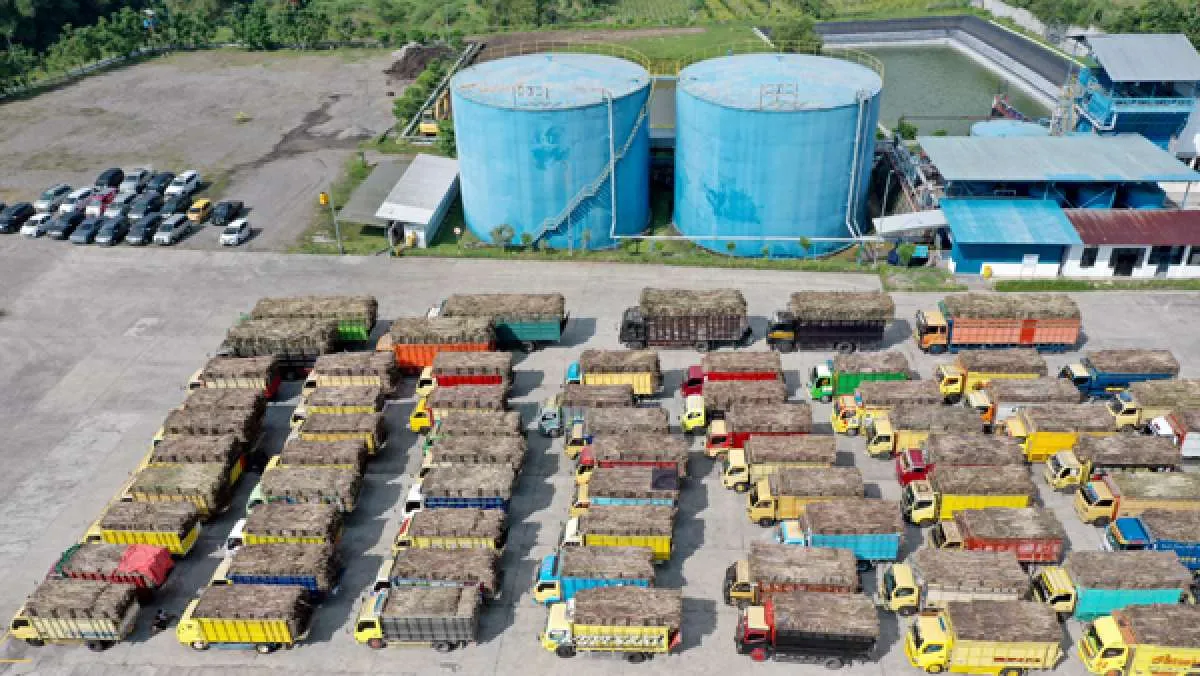 Menakar Efek Pembatasan Impor Etanol terhadap Industri Gula Domestik