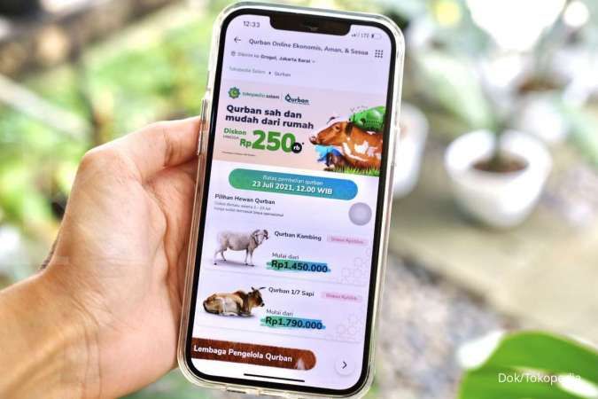 Berhasil Salurkan Ratusan Ton Hewan Kurban Tahun Lalu, Tokopedia Bagi Tips Kurban Mudah, Aman dan Amanah Secara Digital