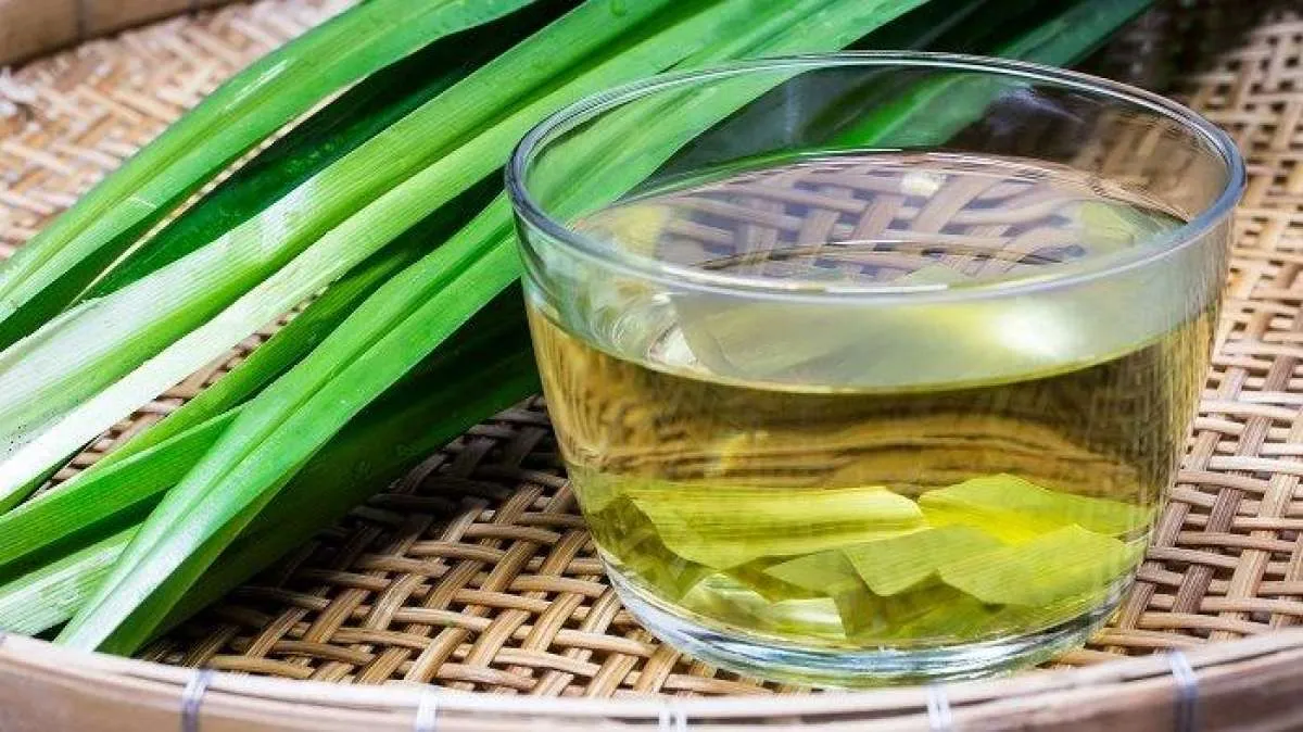 Daun Pandan Punya 7 Khasiat Utama yang Jarang Diketahui, Simak di Sini 