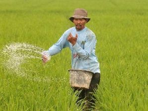 Genjot produksi pupuk, pemerintah siapkan tiga jurus