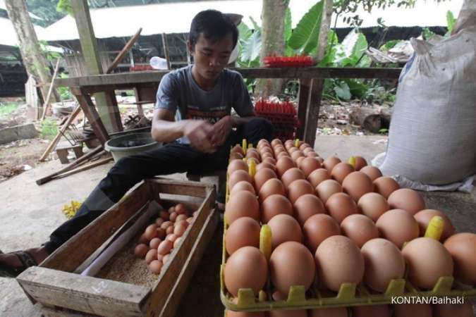 Hati-hati, batasi konsumsi telur demi kesehatan jantung