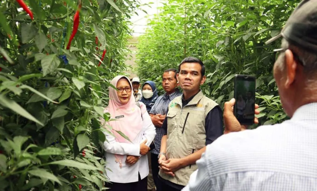 Paskomnas Harap Petani Milenial Jatim Dukung Ketersediaan Cabai di Surabaya