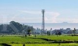 Laba Bersih Bali Towerindo Sentra (BALI) Naik 32,16% di Kuartal III-2025