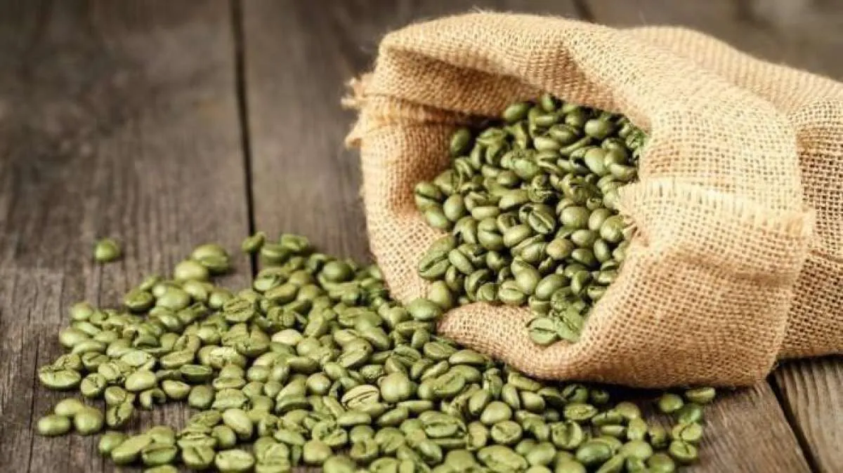 Terbukti Menurunkan Berat Badan, Amankah Biji Kopi Hijau Dimunim Secara Rutin? 