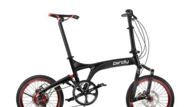 Sepeda best sale birdy rohloff