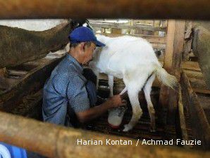 Harga susu makin matang