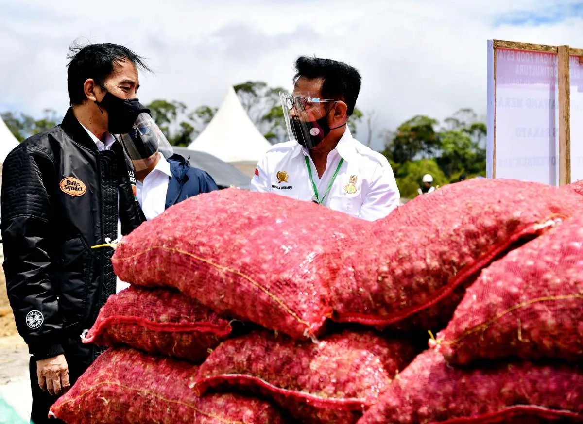 Food Estate mulai panen, Kementan klaim hasil panen hingga 6,4 ton per hektare