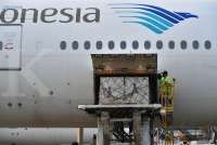 Garuda Indonesia fasilitasi pengangkutan snow leopard dari Amsterdam