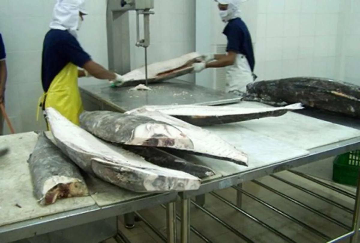Pendapatan naik 72% di kuartal I, Era Mandiri (IKAN) optimistis kinerja membaik